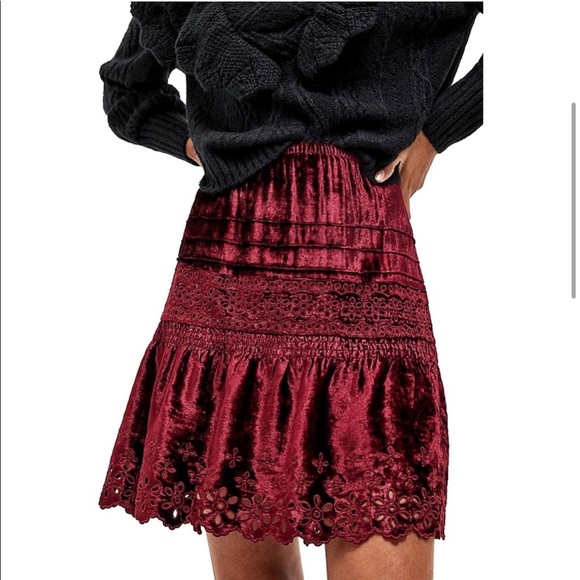 Anthropologie Cherie Eyelet Velvet Mini Skirt - Picture 3 of 8